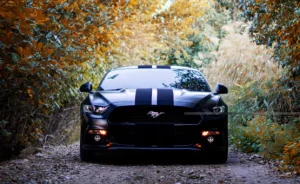 Ford-Repair